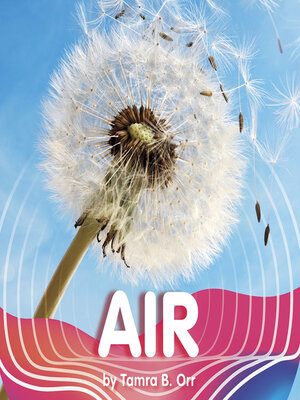 cover image of Air